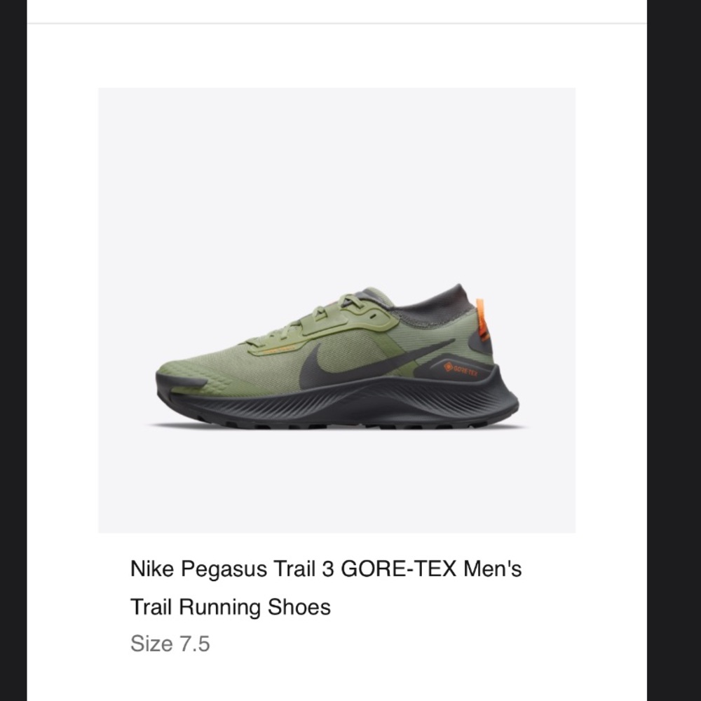 Pegasus trail goretex